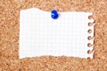 Notepaper on noticeboard Royalty Free Stock Photo