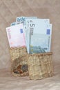 The Euro in the basket. Royalty Free Stock Photo