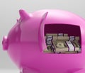 Notes In Piggy Shows Savings And Investment