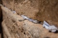 Notes to God in the cracks between the bricks of the Western Wall in the old city of Jerusalem Israel Royalty Free Stock Photo