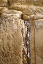 Notes in the wailing wall, Jerusalem. Royalty Free Stock Photo