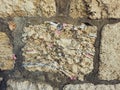 Notes on the wailing Western wall in Jerusalem Israel - Afbeelding Royalty Free Stock Photo