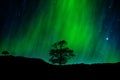 Nothern lights, Aurora Royalty Free Stock Photo