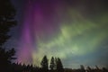 Nothern lights in Karelia