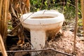 Nothing outdoor latrine in the forest cover,toilet Royalty Free Stock Photo