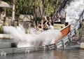 Cooling off at Zoo Tampa at Lowry Park