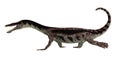 Nothosaurus Reptile Walking Royalty Free Stock Photo