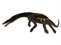 Nothosaurus Side Profile