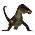 Nothosaurus on White Royalty Free Stock Photo