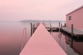 Noticeable Pink boat. Generate Ai