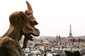 Notre Dam Gargoyle Looking at Eiffel Tower Royalty Free Stock Photo
