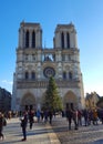 The Notre Dame Cathedral with Christmas tree.