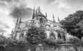 Notre Dame Cathedral facade and gardens in Paris on a beautiful sunny day Royalty Free Stock Photo