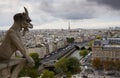 Notre Dame Cathedral Gargoyle over Paris Royalty Free Stock Photo