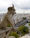 Notre Dame Cathedral Gargoyle over Paris Royalty Free Stock Photo