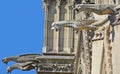 Notre Dame cathedral of Paris details
