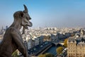 Notre Dame Cathedral, Paris