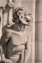 The Notre Dame cathedral of Paris gargoyle Royalty Free Stock Photo