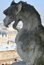 The Notre Dame cathedral of Paris gargoyle Royalty Free Stock Photo