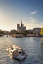 Notre Dame cathedral and sightseeing boat in Paris