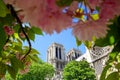 Notre Dame cathedral in spring time, Paris, France Royalty Free Stock Photo