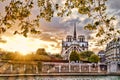 Notre Dame cathedral in spring time, Paris, France Royalty Free Stock Photo