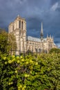 Notre Dame cathedral during spring time in Paris, France Royalty Free Stock Photo