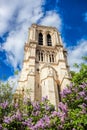 Notre Dame cathedral during spring time in Paris, France Royalty Free Stock Photo