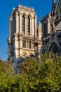Notre Dame Cathedral tower. Ile de la Cite, Paris, France Royalty Free Stock Photo
