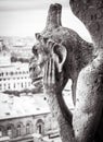 Notre Dame de Paris cathedral in black and white, Paris, France. Melancholic chimera statue like gothic gargoyle close-up