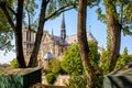 Notre-Dame de Paris cathedral seen through the poplar trees on the wharf of the Seine river