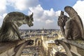 Notre Dame de Paris Chimera Royalty Free Stock Photo