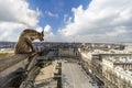 Notre Dame de Paris Chimera Royalty Free Stock Photo