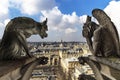 Notre Dame de Paris Chimera Royalty Free Stock Photo