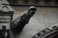 Notre Dame de Paris, medieval Catholic Cathedral on an island Cite in Paris