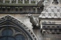 Notre Dame de Paris, medieval Catholic Cathedral on an island Cite in Paris