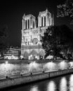 Notre Dame de Paris at night Royalty Free Stock Photo