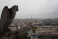 Notre dame de paris stone monster rooftop