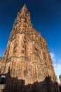 Notre dame de Strasbourg Royalty Free Stock Photo