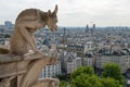 Notre Dame Demon Gargoyle Royalty Free Stock Photo