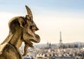 Notre Dame Gargoyle, Paris, France Royalty Free Stock Photo