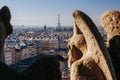 Notre Dame Gargoyle in France Royalty Free Stock Photo