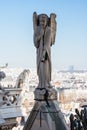 Notre Dame Gargoyle in France Royalty Free Stock Photo