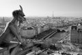 Notre Dame Gargoyle Royalty Free Stock Photo