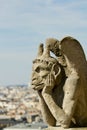 Notre Dame Gargoyle Royalty Free Stock Photo