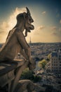 Notre Dame Gargoyle Paris Royalty Free Stock Photo