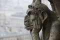 Notre Dame Gargoyle Royalty Free Stock Photo