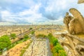 Notre Dame gargoyles aerial view Royalty Free Stock Photo