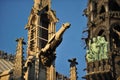 Notre-Dame Gargoyles, Paris