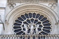 Notre dame paris cathedral statue sculpture and roof before fire Royalty Free Stock Photo